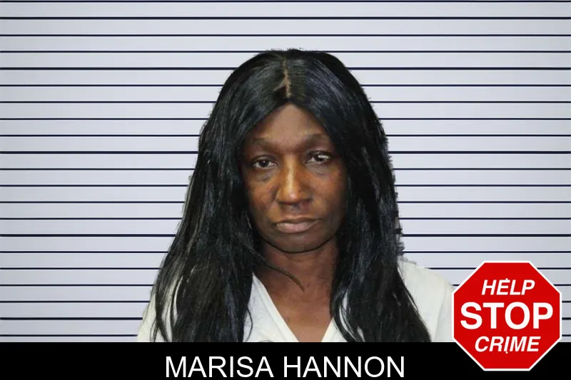 Marisa Hannon mugshot – Thomas County , Georgia Marisa Hannon mugshot