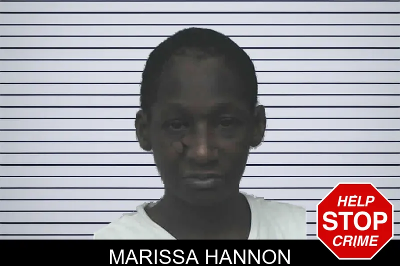 Marissa Hannon mugshot – Lanier County , Georgia Marissa Hannon mugshot