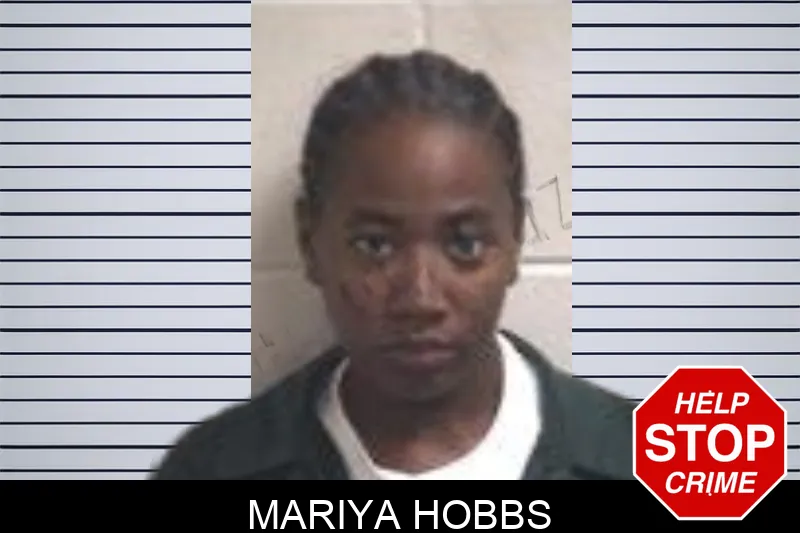 Mariya Hobbs mugshot – Henry County , Georgia Mariya Hobbs mugshot