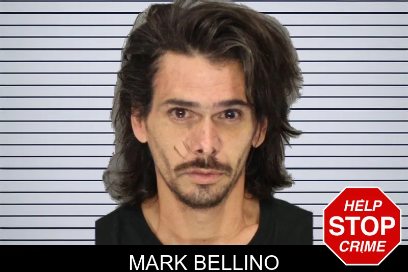 Mark Bellino mugshot – Cobb County , Georgia Mark Bellino mugshot