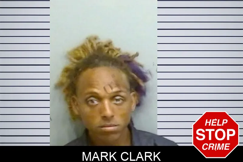 Mark Clark mugshot – Fulton County , Georgia Mark Clark mugshot