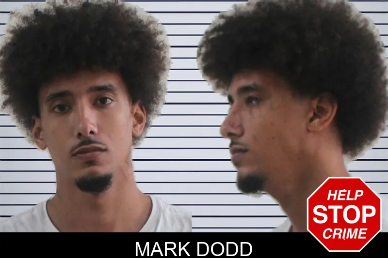 Mark Dodd mugshot – Houston County , Georgia Mark Dodd mugshot