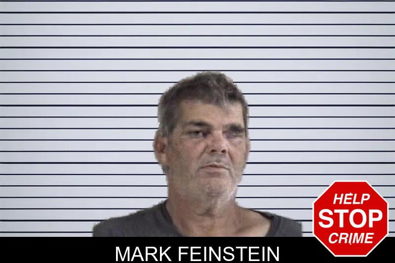 Mark Feinstein mugshot – Whitfield County , Georgia Mark Feinstein mugshot