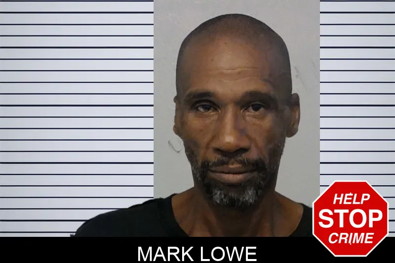 Mark Lowe mugshot