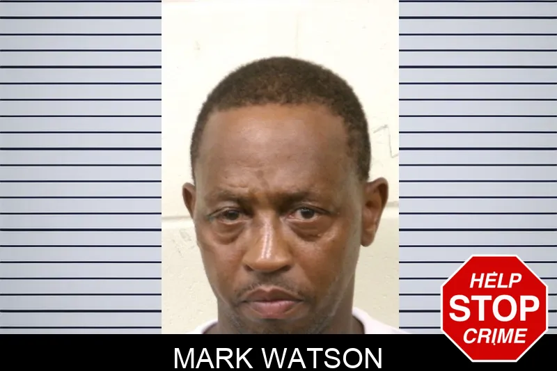 Mark Watson mugshot – Bulloch County , Georgia Mark Watson mugshot