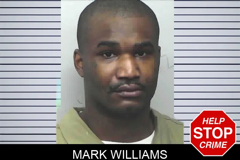 Mark Williams mugshot