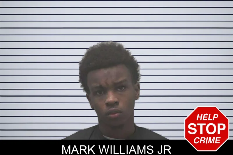 Mark Williams Jr mugshot