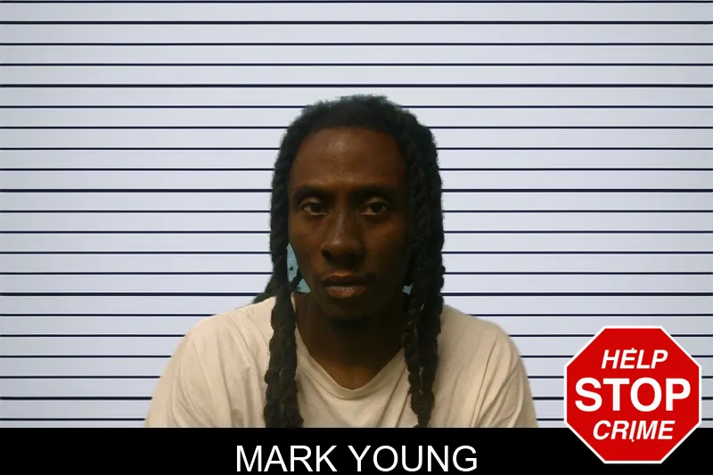 Mark Young mugshot – Franklin County , Georgia Mark Young mugshot