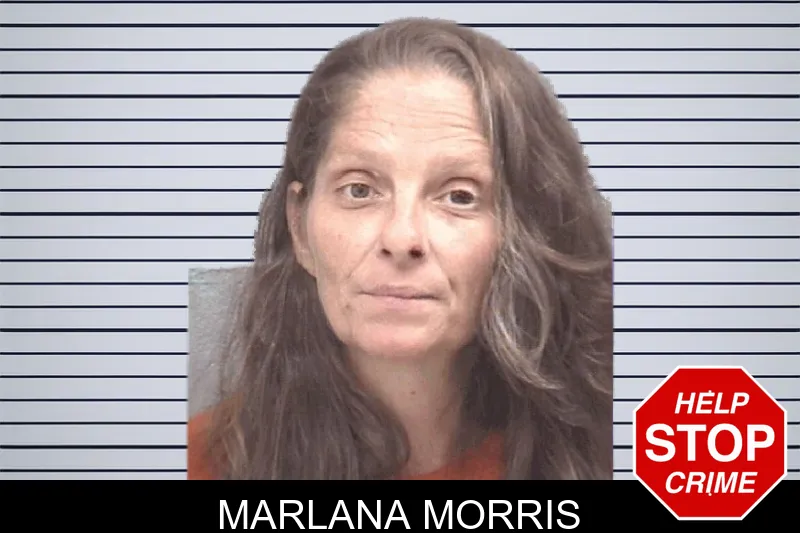 Marlana Morris mugshot – Columbia County , Georgia Marlana Morris mugshot