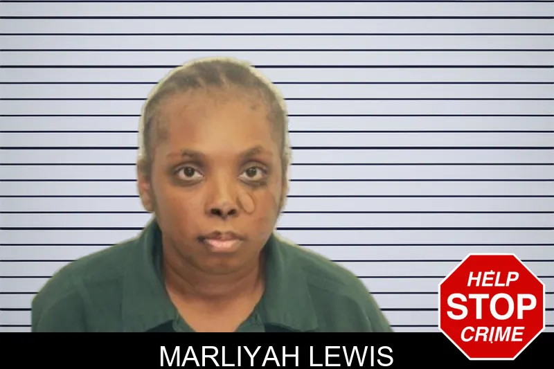 Marliyah Lewis mugshot – Chatham County , Georgia Marliyah Lewis mugshot