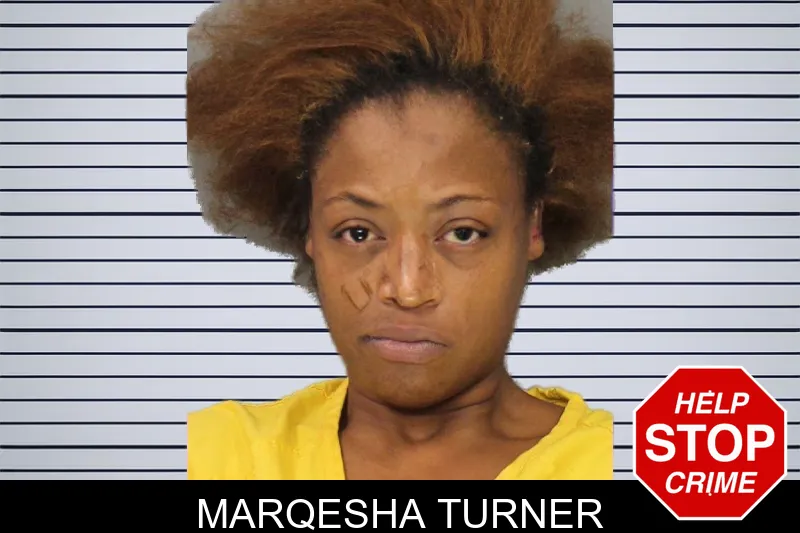 Marqesha Turner mugshot – Cobb County , Georgia Marqesha Turner mugshot
