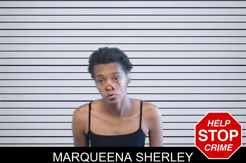 Marqueena Sherley mugshot – DeKalb County , Georgia Marqueena Sherley mugshot