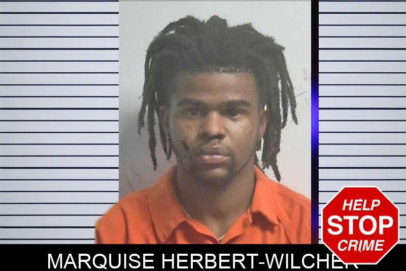 Marquise Herbert-Wilcher mugshot