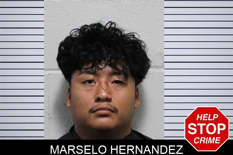 Marselo Hernandez mugshot