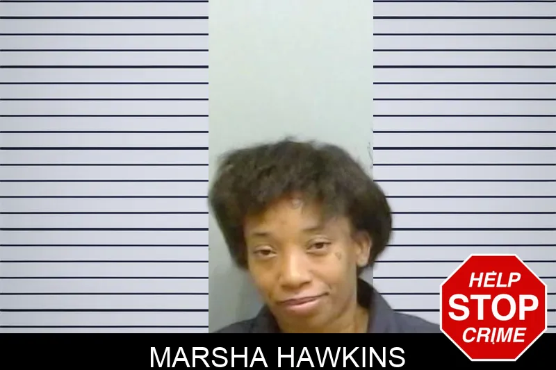 Marsha Hawkins mugshot – Fulton County , Georgia Marsha Hawkins mugshot