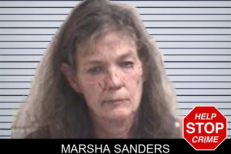 Marsha Sanders mugshot – Henry County , Georgia Marsha Sanders mugshot
