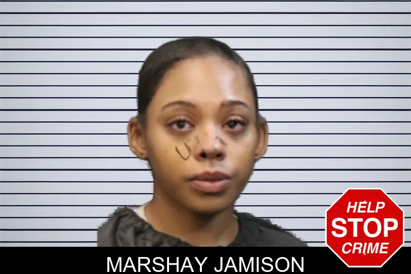 Marshay Jamison mugshot – Forsyth County , Georgia Marshay Jamison mugshot