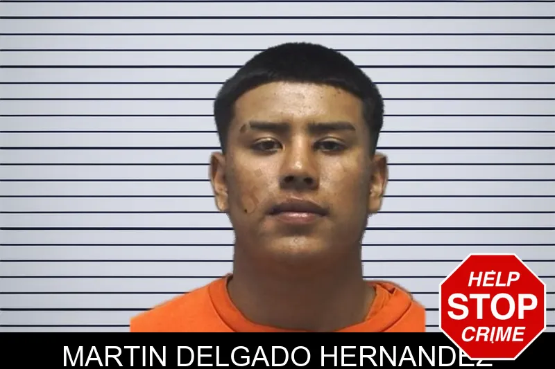 Martin Delgado Hernandez mugshot