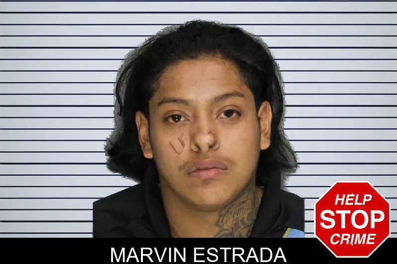 Marvin Estrada mugshot – Cobb County , Georgia Marvin Estrada mugshot