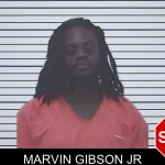 Marvin Gibson Jr mugshot – Worth County , Georgia Marvin Gibson Jr mugshot