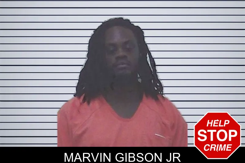Marvin Gibson Jr mugshot – Worth County , Georgia Marvin Gibson Jr mugshot