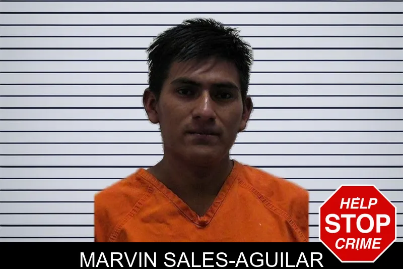 Marvin Sales-Aguilar mugshot – Pierce County , Georgia Marvin Sales-Aguilar mugshot
