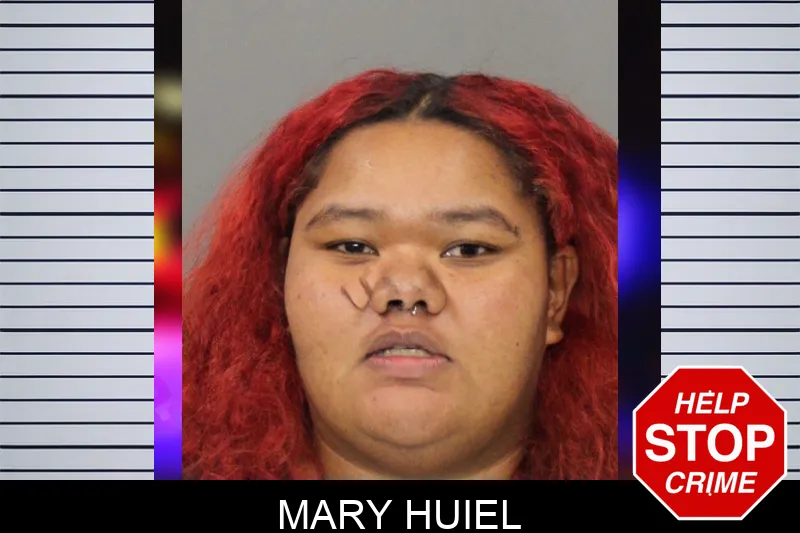 Mary Huiel mugshot – Cobb County , Georgia Mary Huiel mugshot