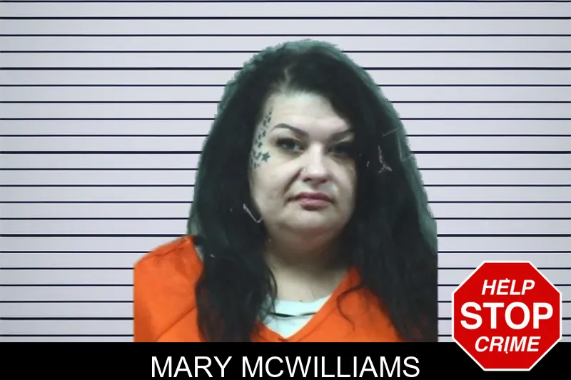 Mary McWilliams mugshot – Bleckley County , Georgia Mary McWilliams mugshot
