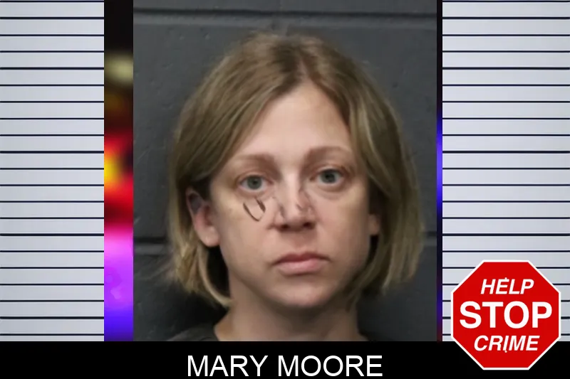 Mary Moore mugshot – Forsyth County , Georgia Mary Moore mugshot