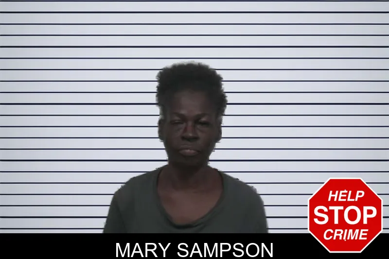 Mary Sampson mugshot