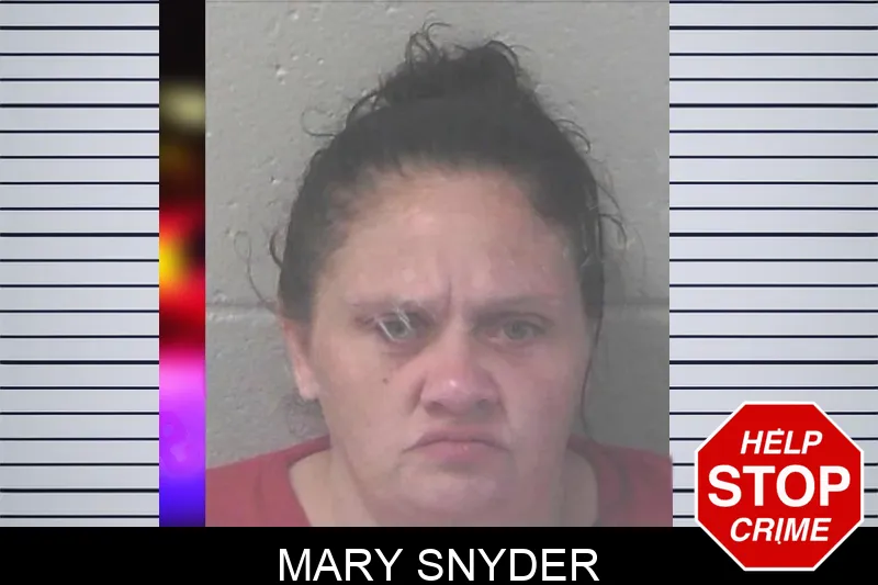 Mary Snyder mugshot