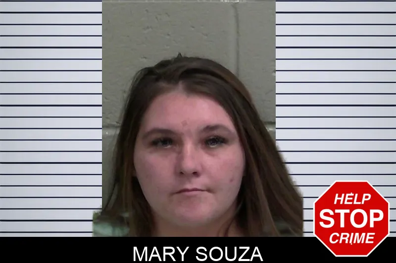 Mary Souza mugshot – Wayne County , Georgia Mary Souza mugshot