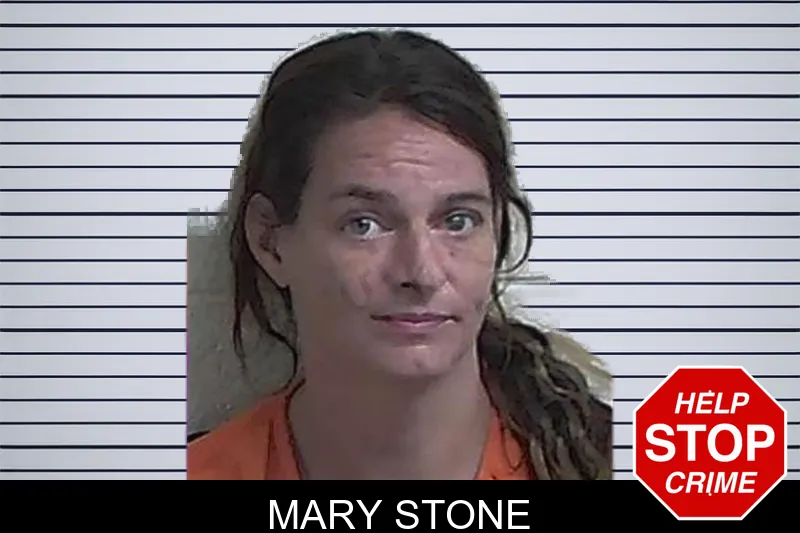 Mary Stone mugshot – Fannin County , Georgia Mary Stone mugshot