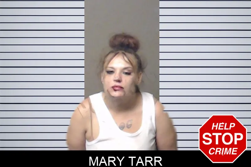 Mary Tarr mugshot – DeKalb County , Georgia Mary Tarr mugshot