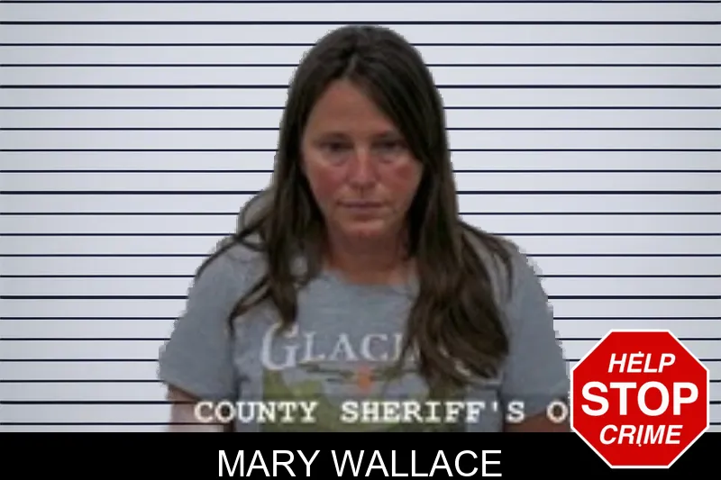 Mary Wallace mugshot – Walton County , Georgia Mary Wallace mugshot
