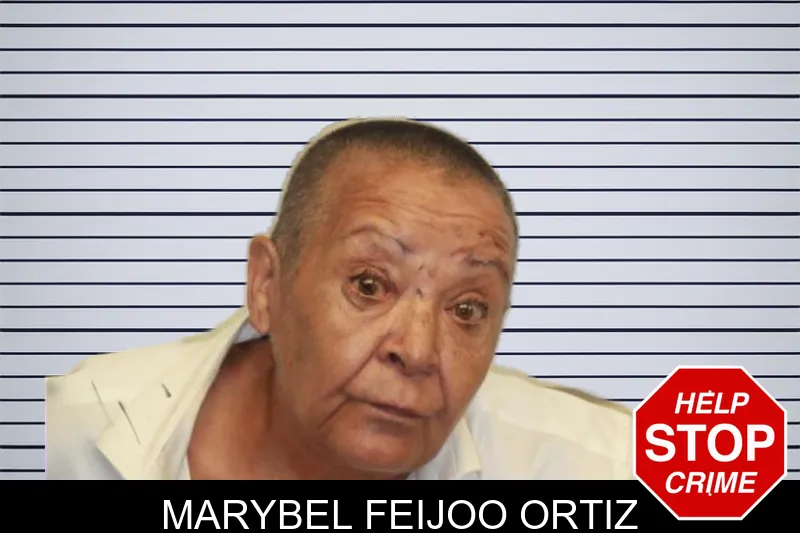 Marybel Feijoo Ortiz mugshot – Chatham County , Georgia Marybel Feijoo Ortiz mugshot