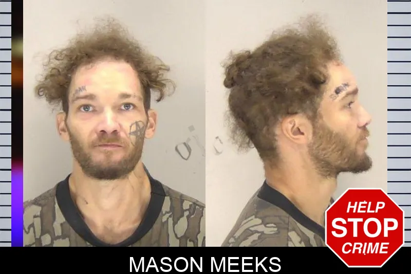 Mason Meeks mugshot – Richmond County , Georgia Mason Meeks mugshot
