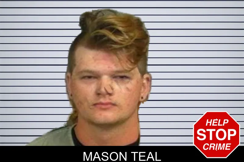 Mason Teal mugshot