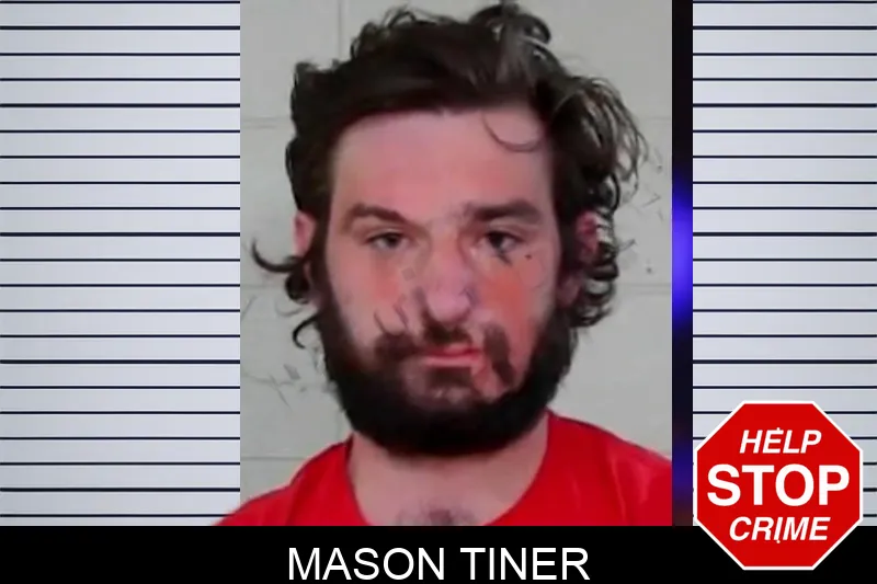 Mason Tiner mugshot