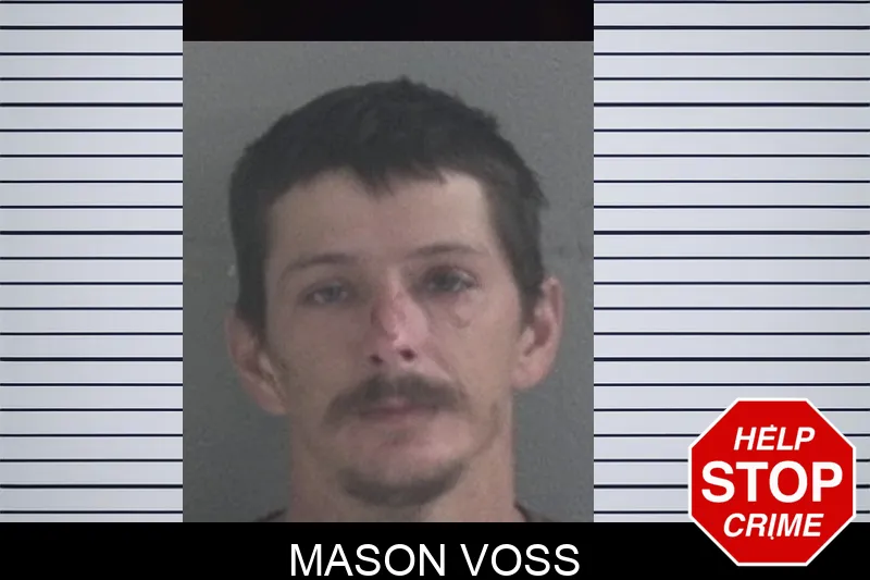 Mason Voss mugshot – Brantley County , Georgia Mason Voss mugshot