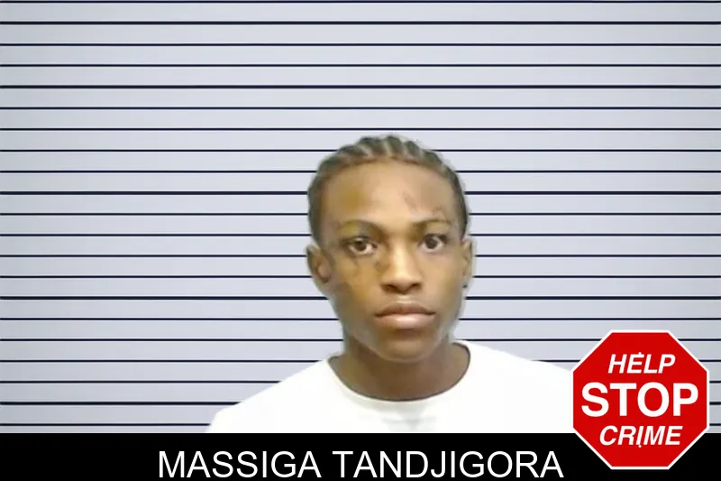 Massiga Tandjigora mugshot – Fulton County , Georgia Massiga Tandjigora mugshot