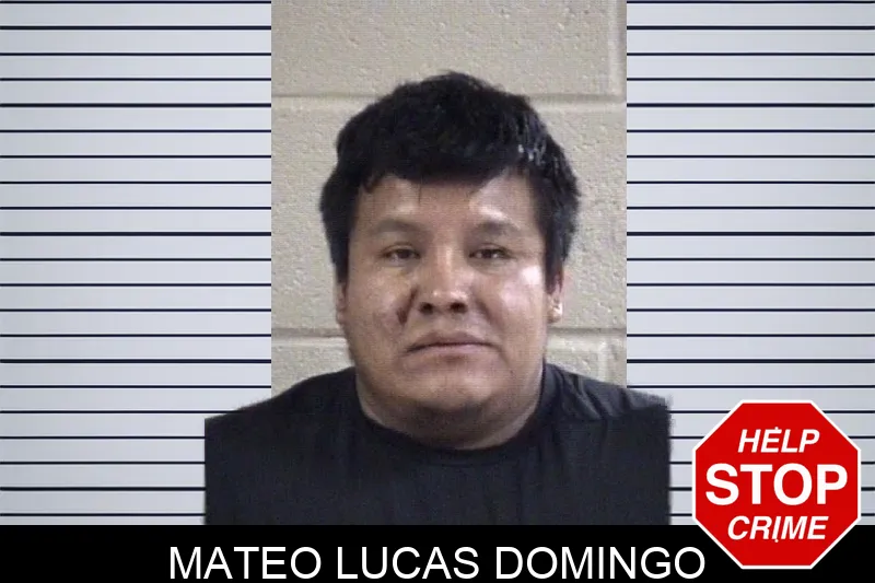 Mateo Lucas Domingo mugshot – Whitfield County , Georgia Mateo Lucas Domingo mugshot