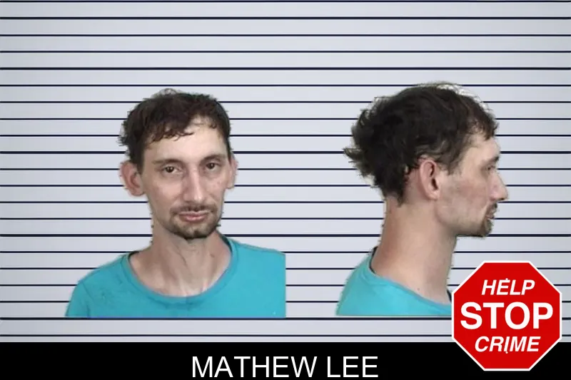Mathew Lee mugshot
