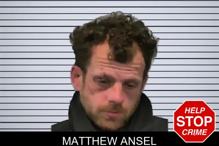 Matthew Ansel mugshot – Ware County , Georgia Matthew Ansel