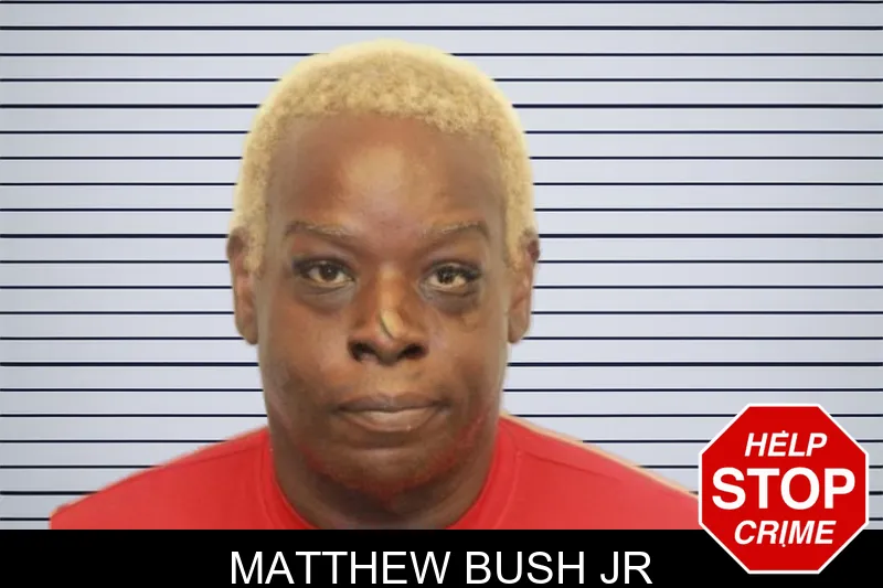 Matthew Bush Jr mugshot – Chatham County , Georgia Matthew Bush Jr mugshot