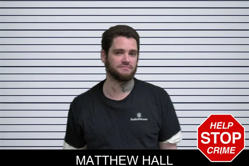 Matthew Hall mugshot – Wayne County , Georgia Matthew Hall mugshot