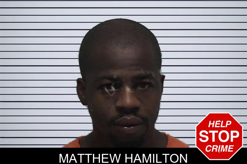 Matthew Hamilton mugshot – Laurens County , Georgia Matthew Hamilton mugshot