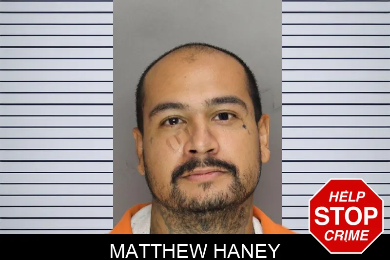 Matthew Haney mugshot