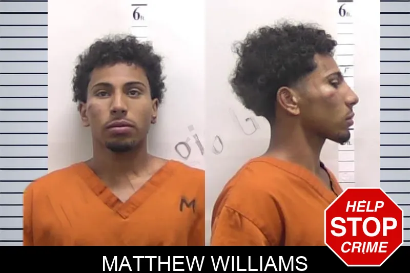Matthew Williams mugshot – Clarke County , Georgia Matthew Williams mugshot