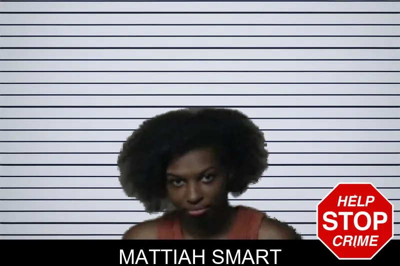 Mattiah Smart mugshot – DeKalb County , Georgia Mattiah Smart mugshot